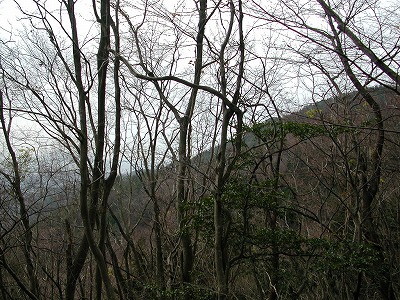 img0035.jpg