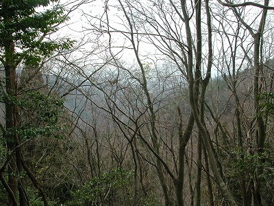 img0036.jpg