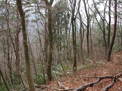 img0037.jpg