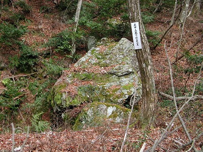 img0038.jpg