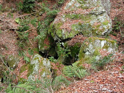 img0048.jpg