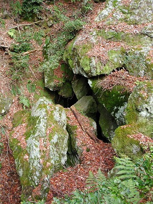 img0050.jpg