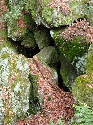 img0051.jpg