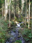 img0006.jpg