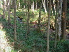 img0008.jpg