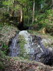 img0009.jpg