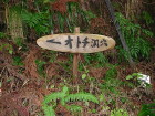 img0018.jpg