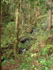 img0020.jpg