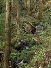 img0021.jpg