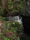 img0023.jpg