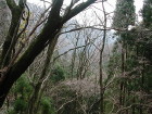 img0030.jpg