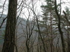 img0034.jpg