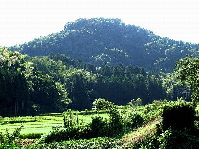 img0000.jpg