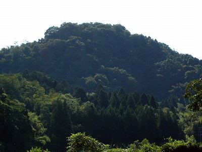 img0001.jpg