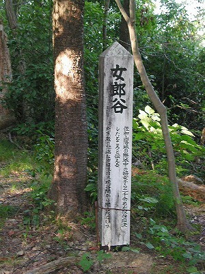 img0005.jpg