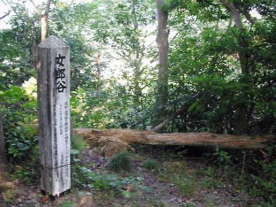 img0006.jpg
